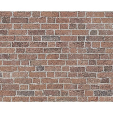 DecoWall Tehla Wismar