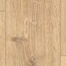 Dub Bayford svetlý